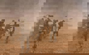 לוחמים מפנים פינוי באלונקה אלונקה לוחם פצוע רפואי למסוק אבק חול