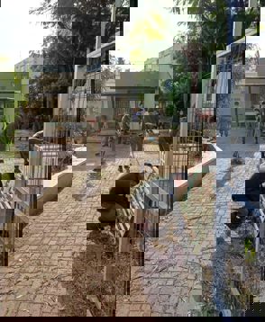 Ad33d003 522B 4Dff A58f 6526Ec685409