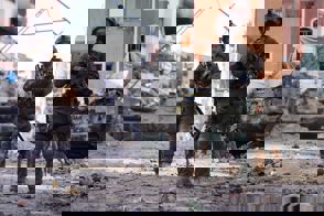 Whatsapp Image 2023 12 16 At 13.12.22