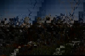 1396B24c 5Ed0 48F5 813E 032F5c9e37b9