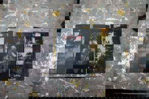 Bbb573d2 315B 4Da0 88Bc 78Fa8fed6b10 (1)