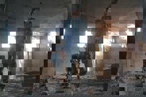 F8899f1a 0Bb2 4B49 B4de 9B5af34fdfe4