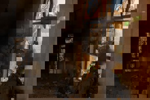 31E63bc8 F3e7 4376 9F49 Ec6848b9bad3