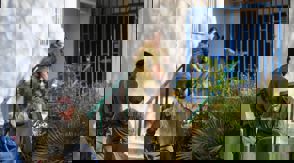 80A523af 139F 4021 B933 9C56afd991e7