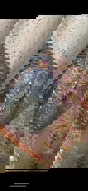 24099F87 107E 47B8 80A2 651F48ab8ee2