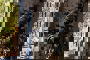 62D1d460 56E5 4746 A4cd D8d6ab3feaaa 2