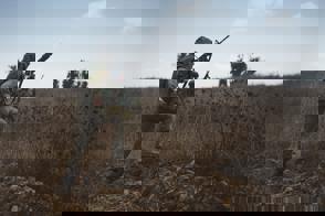 11886185 948258608553990 5641609462150070972 O