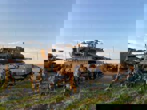 Whatsapp Image 2022 03 08 At 11.55.53 (1)