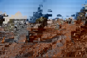 6D6b06f4 B320 4D75 B581 Bfeb6591ffc1 (1)