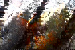 4F29228c 6Ee3 47A7 991F Ff17fa22a0ab