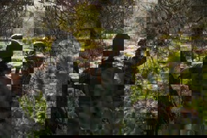 9D5ce09d E358 4A6e Bf62 11Cfaa508d5c