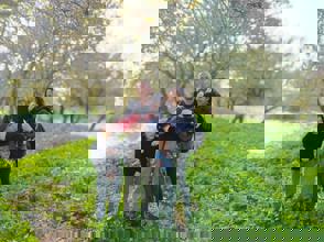 Whatsapp Image 2023 04 17 At 11.38.59