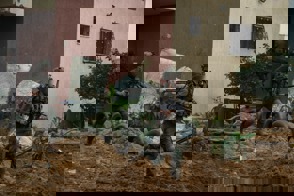 4D82d90b 5Ed0 4637 Be63 D4d219f0a7ee
