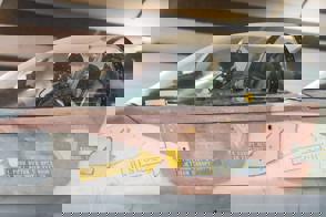 Ac5b1617 F75a 4Ad9 89Ef 7Ea49d70025d