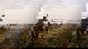 לוחמים לוחמי גדוד הגמ"ר הגמר חטמ"ר חטמר בנימין סוחבים פצוע באלונקה למסוק מסוק ינשוף תרגיל פינוי פצוע מוסק