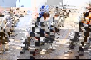 A5575278 87Eb 40Df B0d2 8E6d01856a0b