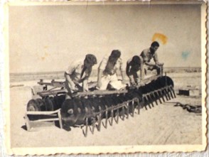 12.3 רגיל