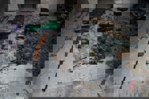 Whatsapp Image 2024 01 31 At 16.23.37 (1)