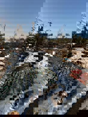 Whatsapp Image 2023 12 07 At 17.24.36