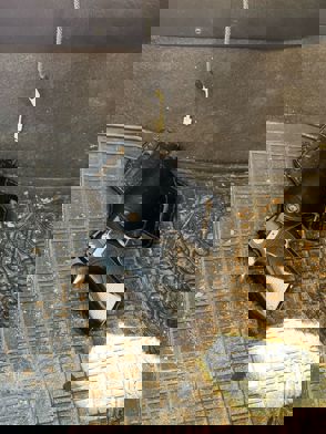Dacdfa89 5B65 4425 B73a F5a333e0ece6 (1)