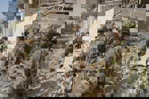 E076acd7 Ce1c 4B4b 9520 Bf00ceab320d