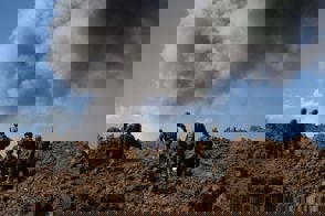 Whatsapp Image 2024 03 25 At 15.54.30 (1)