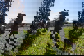 5F0fcc66 095D 4A5c 8C81 16F698f9cb9e