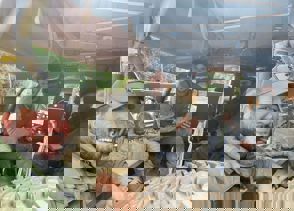 Whatsapp Image 2025 11 16 At 14.42.24 (1)