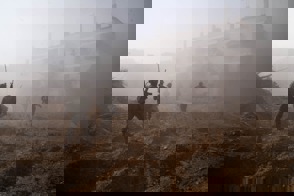 Whatsapp Image 2024 01 05 At 23.19.00