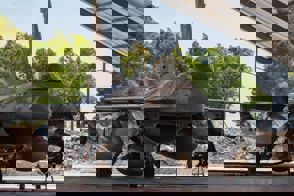 1Eb609fa E2c8 4107 8968 323125B5b538