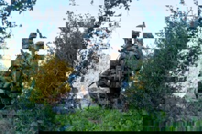 36D68f05 A424 44B9 94E5 3D9f8d7fd4b9