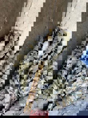 Whatsapp Image 2024 06 29 At 13.00.11