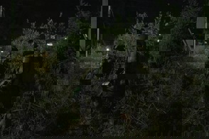 9De1ab18 F0dc 4C06 9Ef3 87A165683de6