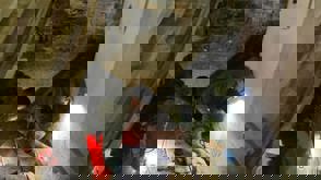 Whatsapp Image 2025 11 06 At 11.50.42 (1)