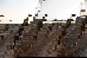 Whatsapp Image 2023 12 26 At 20.41.25 (1)