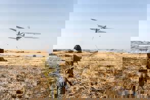13537789 1126235047423011 7704595384562676570 N