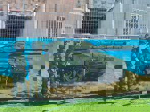 66Cbd9ea Fd58 40B4 8648 835Ab8b3a3bd