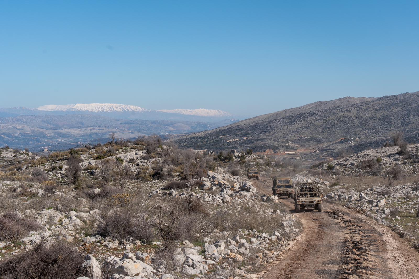 D7b73d03 2C4c 4D94 867D C05a70ab94a1