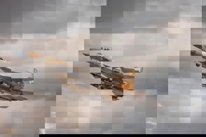 79155675 0B8a 4C38 93C3 A9a588cd42cf (1)