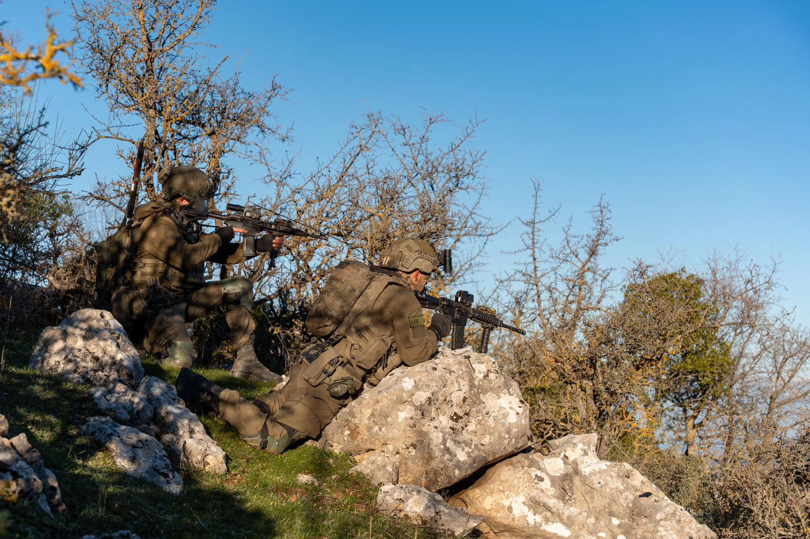 0C18dd00 Bfb5 492C 8720 019527Fbf65f