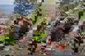 691C3fe9 B4fa 4Ca9 8576 7Cd00642cee8