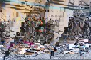 38511C0d 8Dc9 4416 Ac6d Ebd371cb4f7f