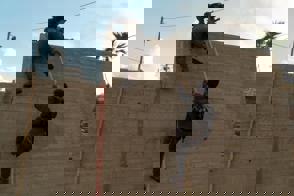 F1206985 D7cb 4705 8134 Dcb7c97d048f