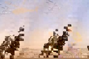 Fa631007 17B3 4874 Ad18 Fd41ddaaa29c
