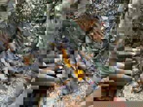 8Bae959c Cbb6 4447 90Ec C0403f7a95fe