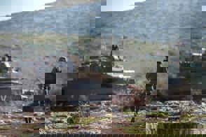 944Fd194 Ea22 4839 B14f 80203499Fe7e