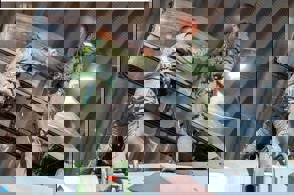 Whatsapp Image 2026 03 04 At 00.36.39 (1)