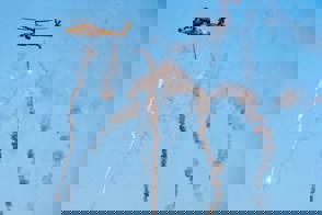 5D3567b7 283A 4Df0 8142 Fef22424aa4c