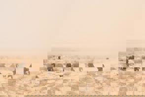 58865142 083B 4Ebf Ac22 F45d86bdb5a0