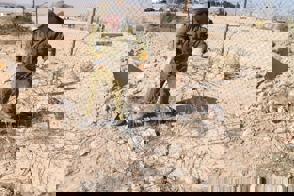 Whatsapp Image 2021 07 01 At 11.04.42